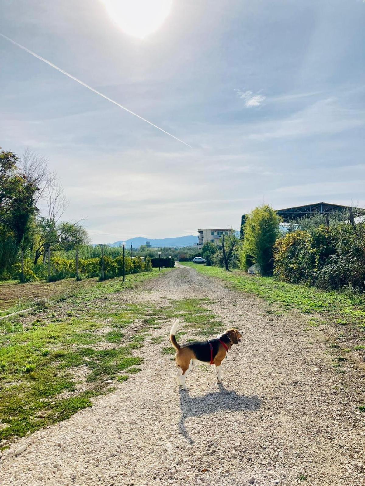 Villa Bubu, Appartamento Country-Chic Ρώμη Εξωτερικό φωτογραφία