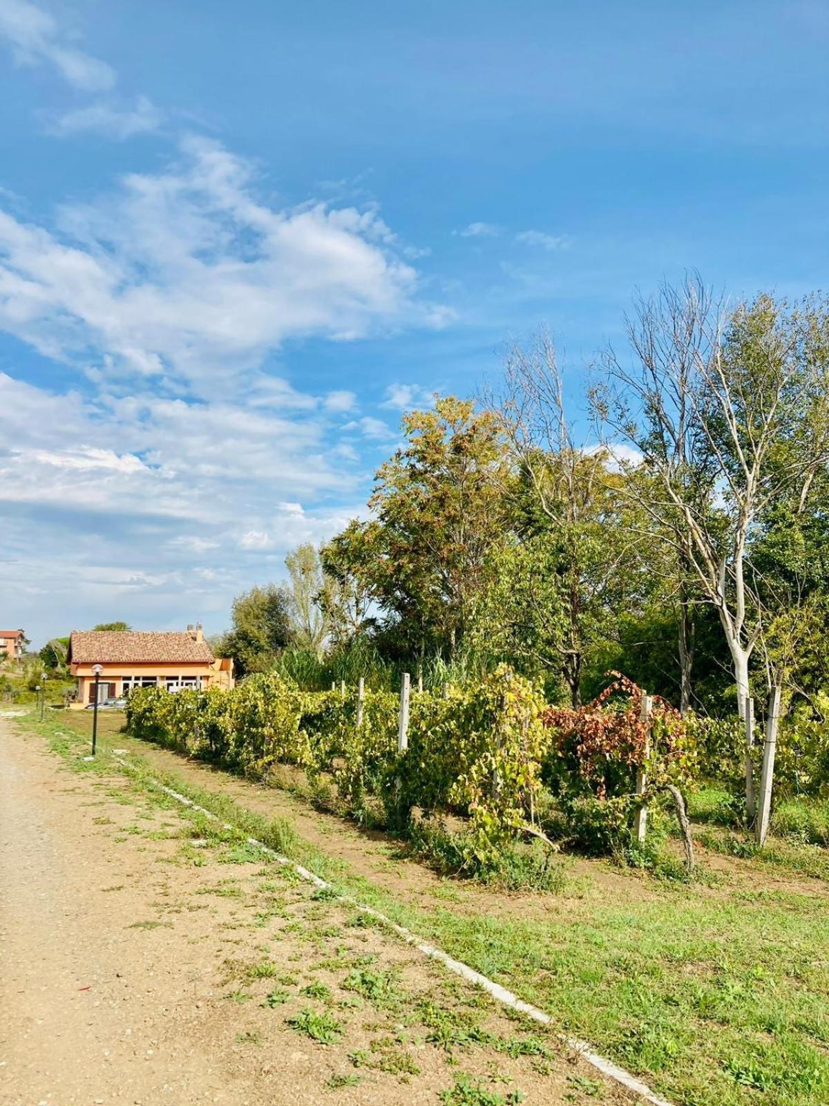 Villa Bubu, Appartamento Country-Chic Ρώμη Εξωτερικό φωτογραφία