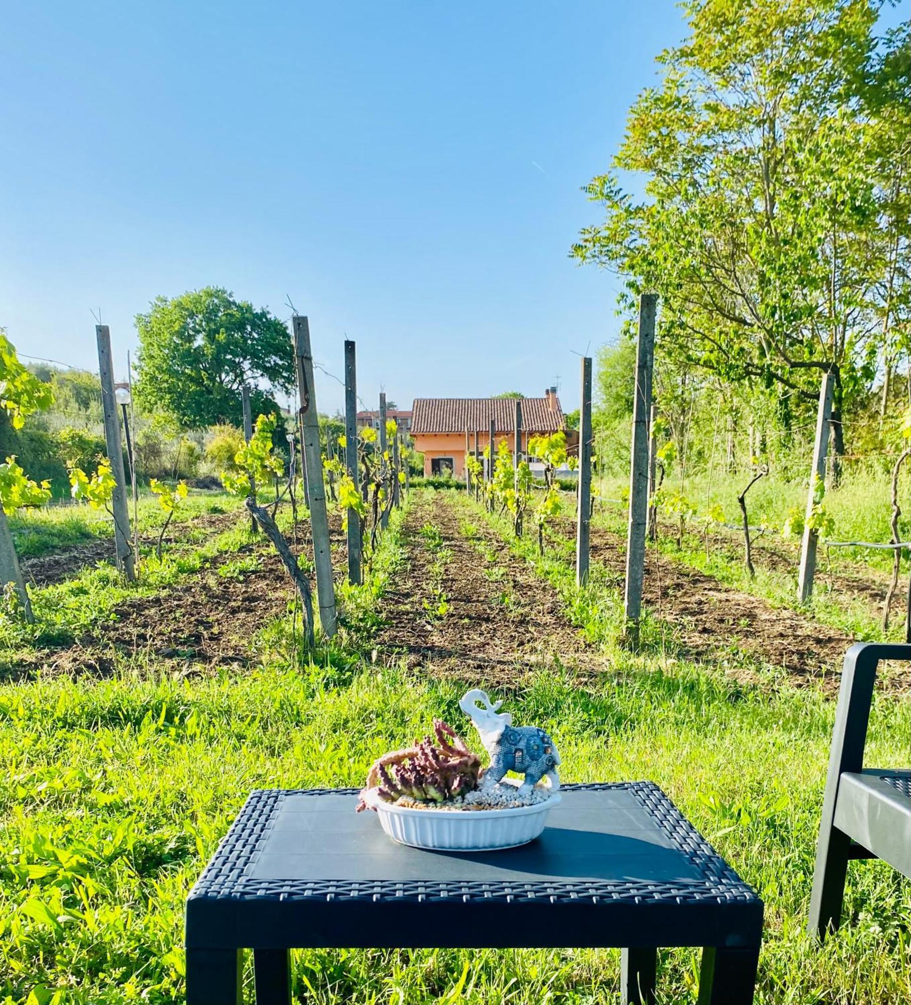 Villa Bubu, Appartamento Country-Chic Ρώμη Εξωτερικό φωτογραφία
