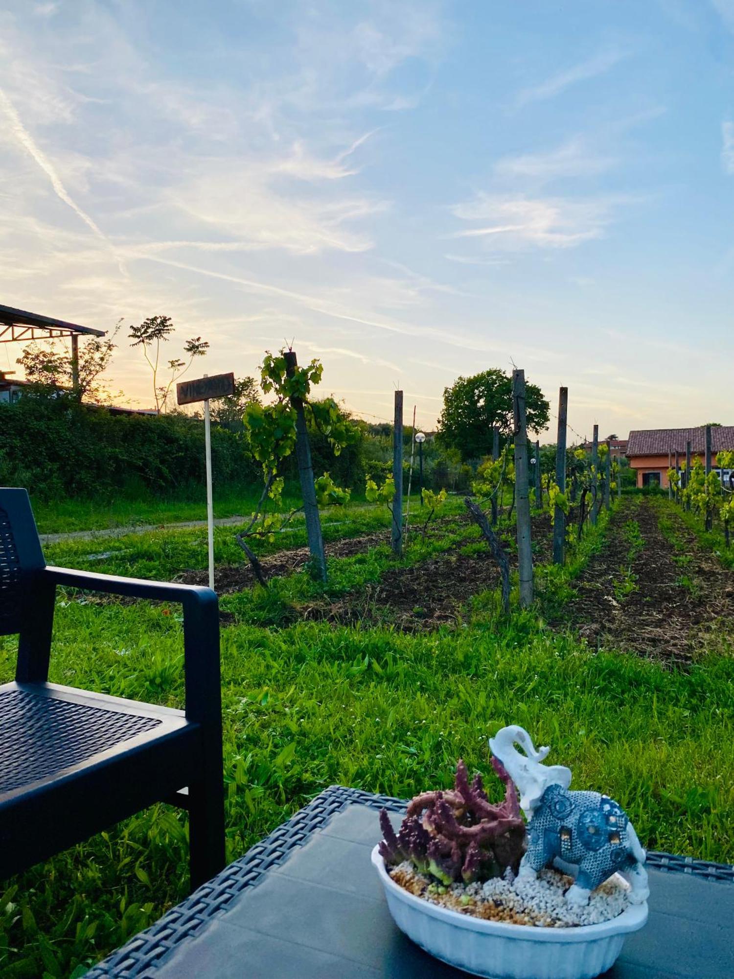 Villa Bubu, Appartamento Country-Chic Ρώμη Εξωτερικό φωτογραφία